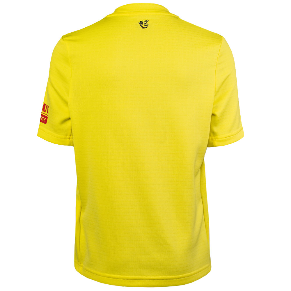 Torwarttrikot 25/26 gelb Kids