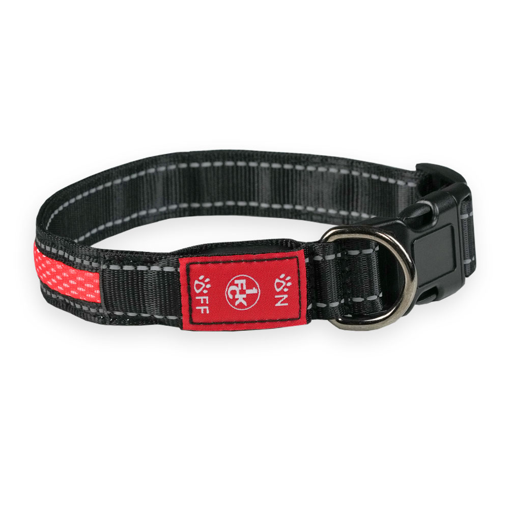 Hunde Leuchthalsband James