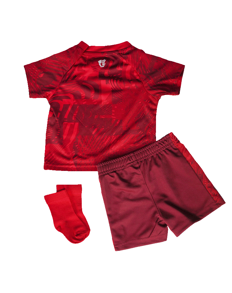 Mini-Kit 24/25 Heim Baby 70 (Mit "Lautre" Flock)